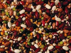 食品行業(yè)